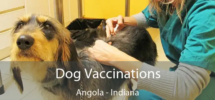 Dog Vaccinations Angola - Indiana