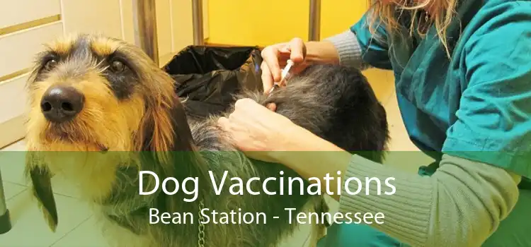 Dog Vaccinations Bean Station - Tennessee