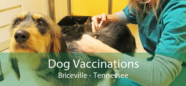 Dog Vaccinations Briceville - Tennessee