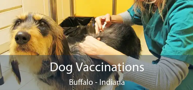 Dog Vaccinations Buffalo - Indiana