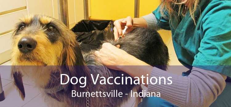 Dog Vaccinations Burnettsville - Indiana