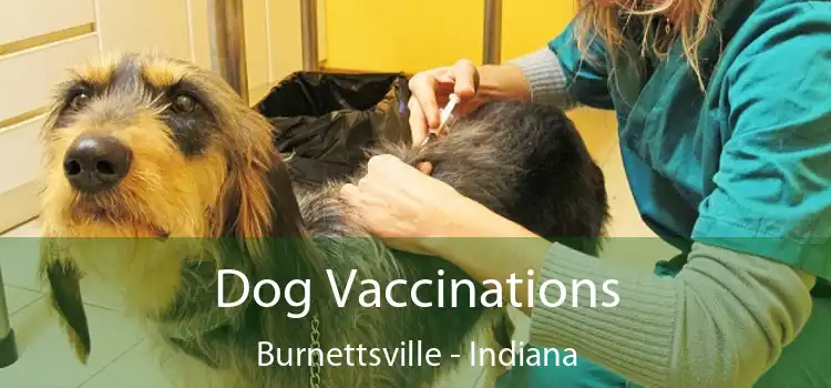 Dog Vaccinations Burnettsville - Indiana