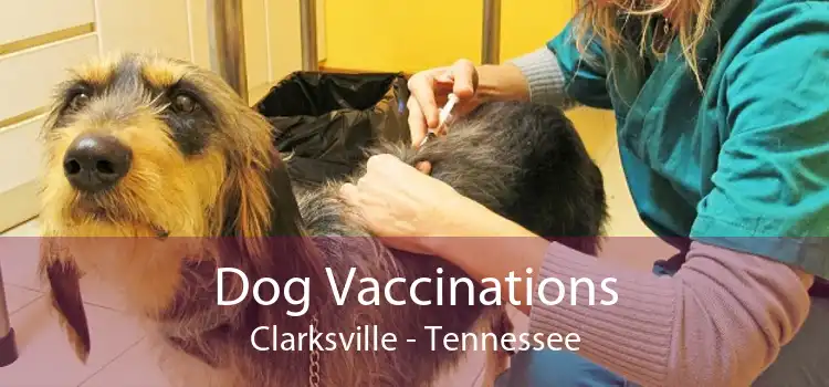 Dog Vaccinations Clarksville - Tennessee
