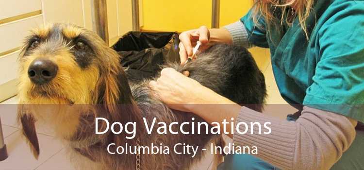 Dog Vaccinations Columbia City - Indiana