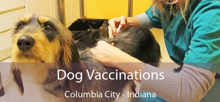 Dog Vaccinations Columbia City - Indiana