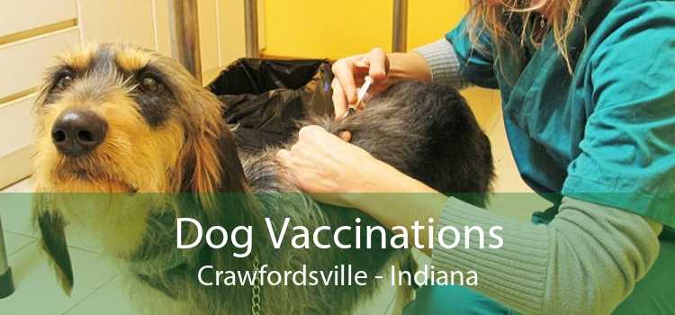Dog Vaccinations Crawfordsville - Indiana