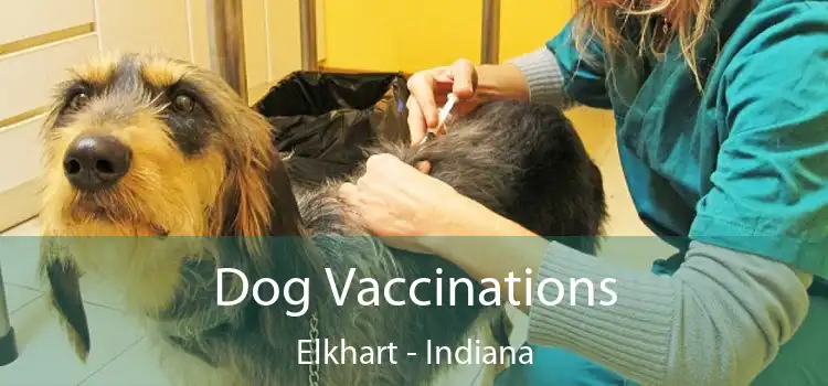 Dog Vaccinations Elkhart - Indiana