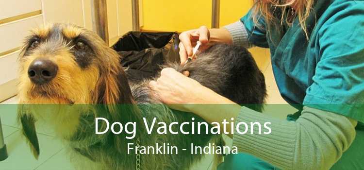 Dog Vaccinations Franklin - Indiana