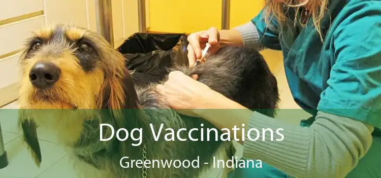 Dog Vaccinations Greenwood - Indiana