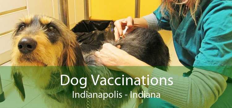 Dog Vaccinations Indianapolis - Indiana