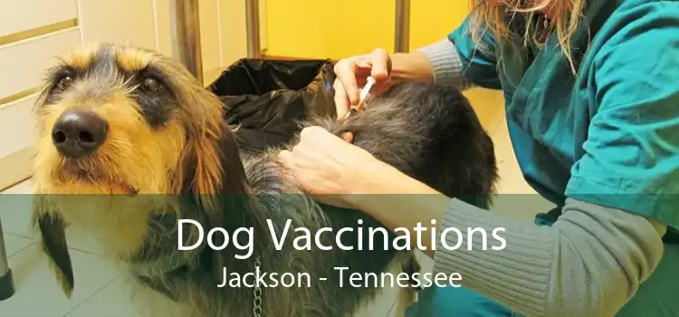 Dog Vaccinations Jackson - Tennessee
