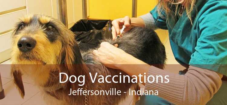 Dog Vaccinations Jeffersonville - Indiana