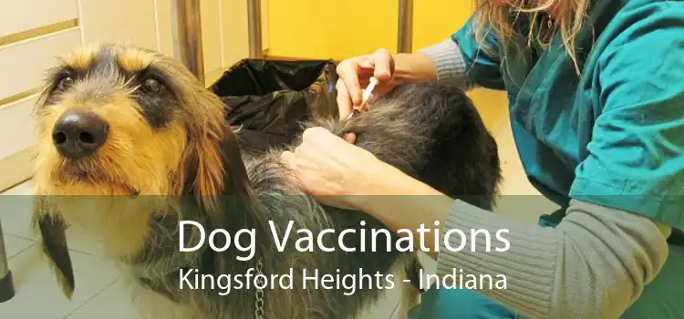Dog Vaccinations Kingsford Heights - Indiana