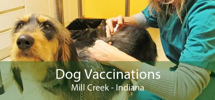 Dog Vaccinations Mill Creek - Indiana