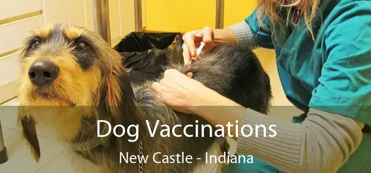 Dog Vaccinations New Castle - Indiana