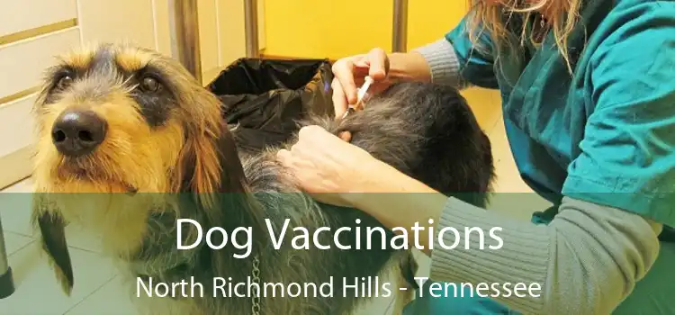 Dog Vaccinations North Richmond Hills - Tennessee