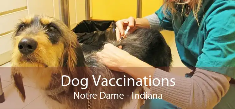 Dog Vaccinations Notre Dame - Indiana