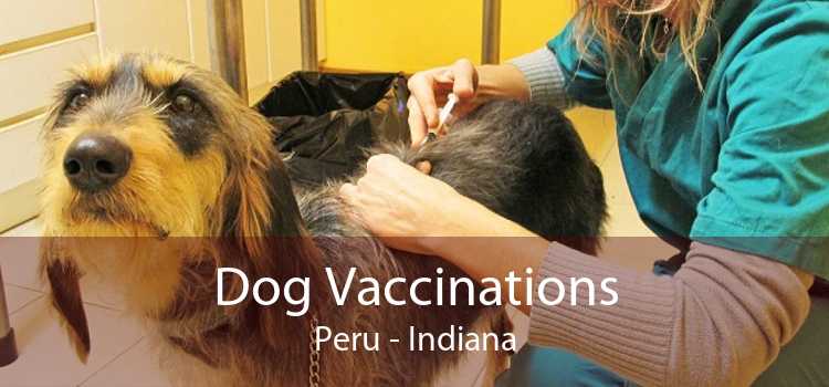 Dog Vaccinations Peru - Indiana