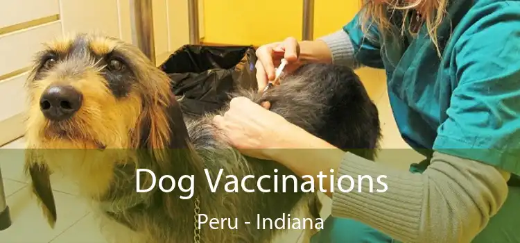 Dog Vaccinations Peru - Indiana