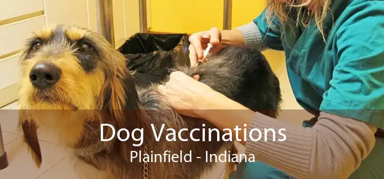 Dog Vaccinations Plainfield - Indiana