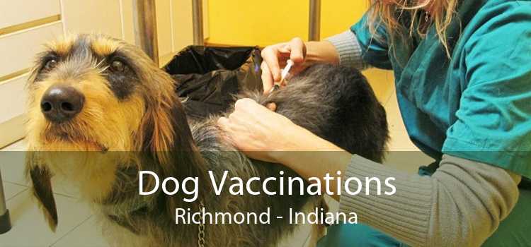 Dog Vaccinations Richmond - Indiana