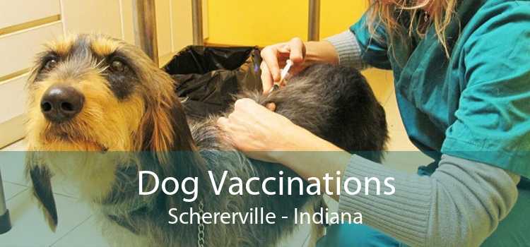Dog Vaccinations Schererville - Indiana