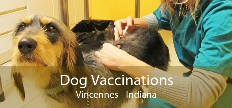 Dog Vaccinations Vincennes - Indiana