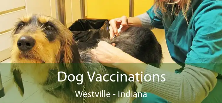 Dog Vaccinations Westville - Indiana