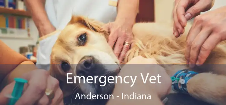 Anderson 24 deals hour vet