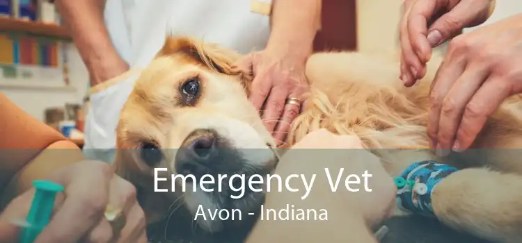 Emergency Vet Avon - Indiana