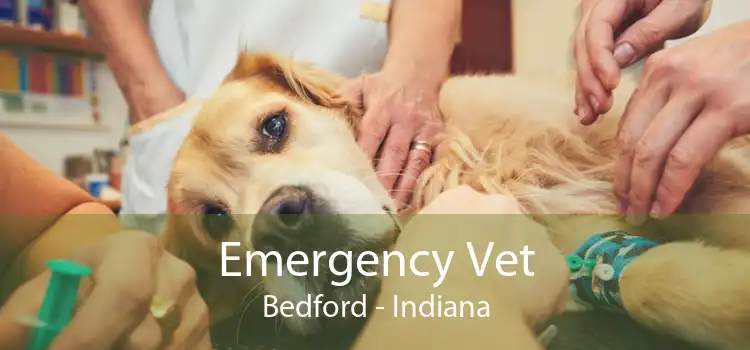 Emergency Vet Bedford - Indiana