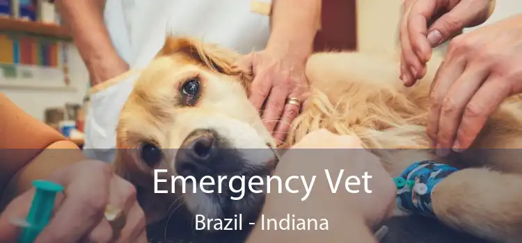 Emergency Vet Brazil - Indiana