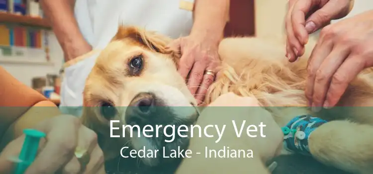 Emergency Vet Cedar Lake - Indiana