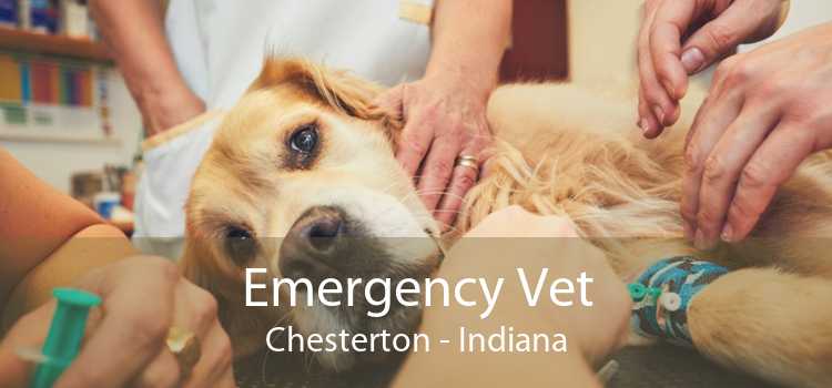 Emergency Vet Chesterton - Indiana