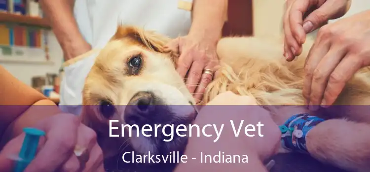 Emergency Vet Clarksville - Indiana