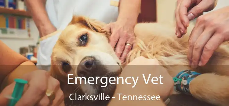 Emergency Vet Clarksville - Tennessee