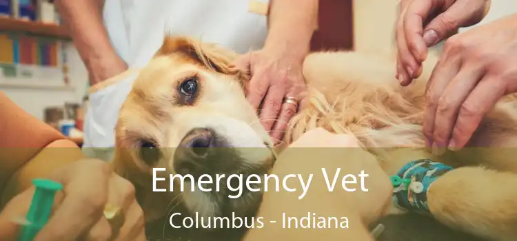 Emergency Vet Columbus - Indiana