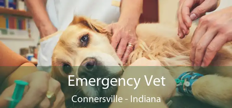 Emergency Vet Connersville - Indiana