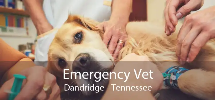 Emergency Vet Dandridge - Tennessee