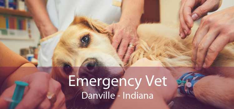 Emergency Vet Danville - Indiana