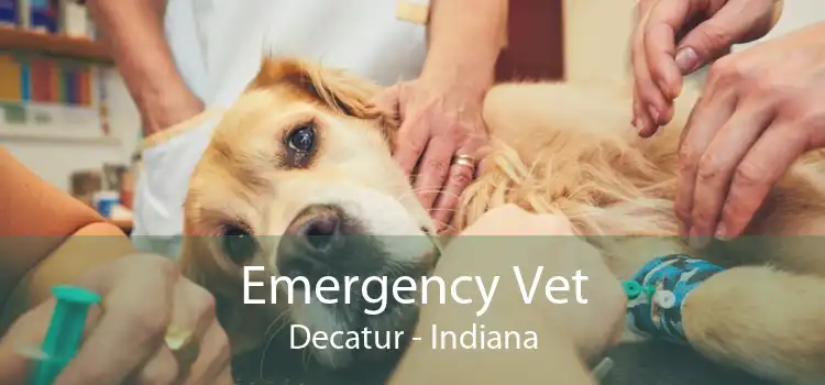 Emergency Vet Decatur - Indiana