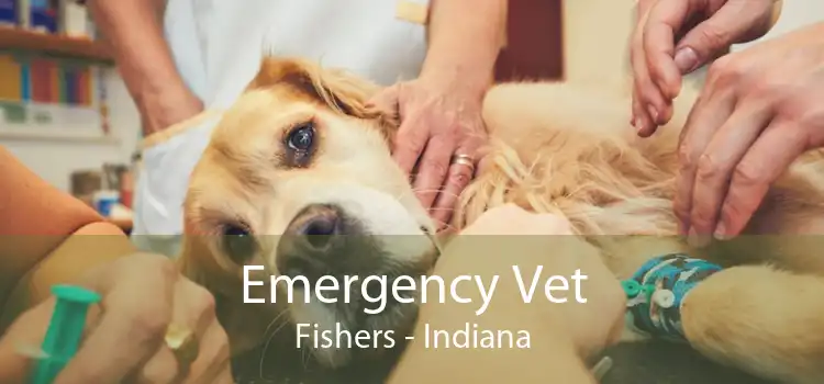 Emergency Vet Fishers - Indiana