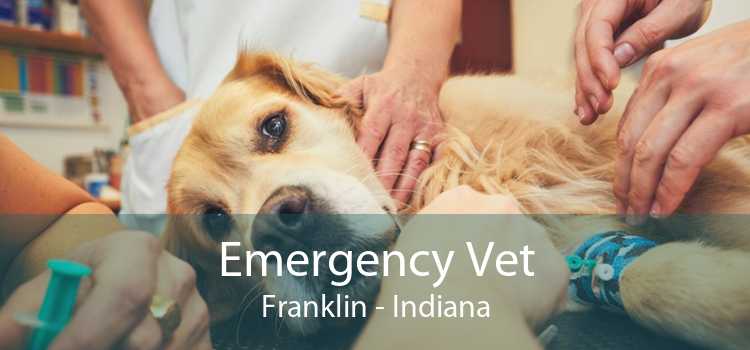 Emergency Vet Franklin - Indiana
