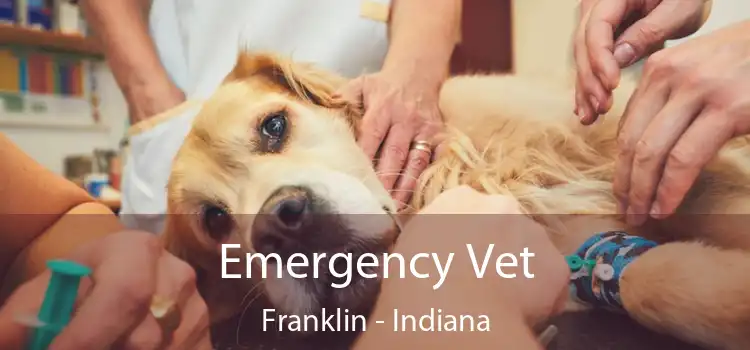 Emergency Vet Franklin - Indiana