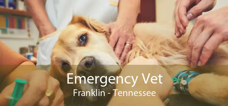 Emergency Vet Franklin - Tennessee