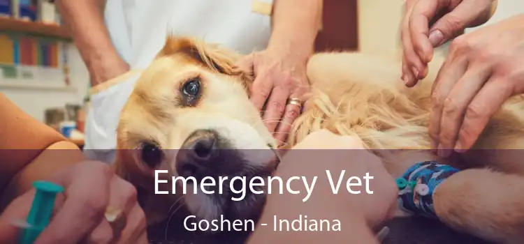 Emergency Vet Goshen - Indiana