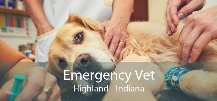 Emergency Vet Highland - Indiana