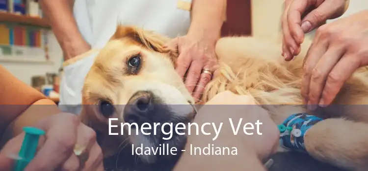 Emergency Vet Idaville - Indiana