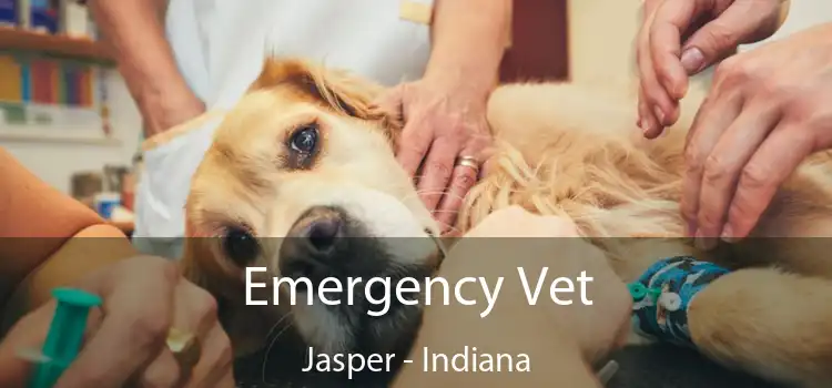 Emergency Vet Jasper - Indiana