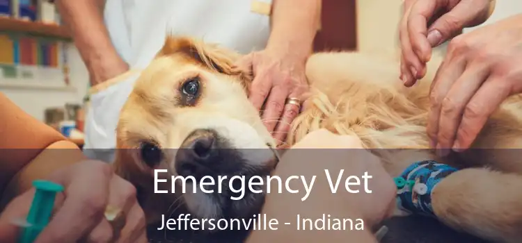 Emergency Vet Jeffersonville - Indiana